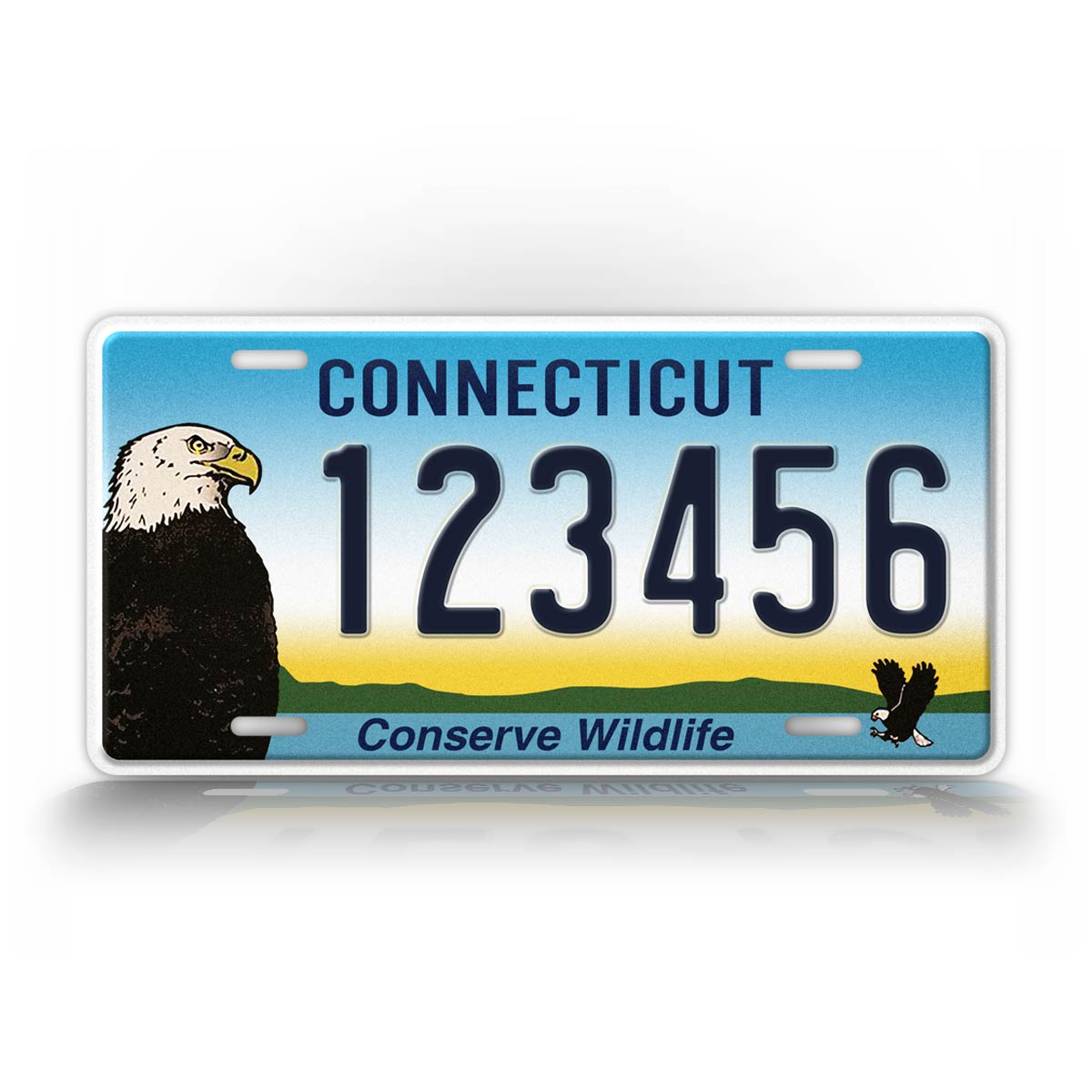 Custom Connecticut Conserve Wildlife Bald Eagle Personalized License Plate