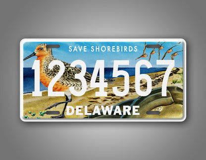 Custom Delaware Save The Shorebirds Wildlife Personalized License Plate