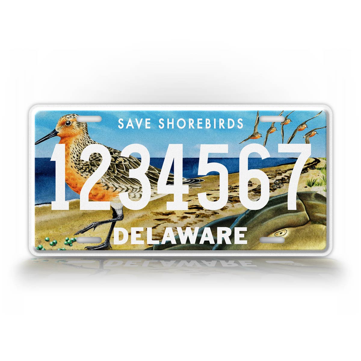 Custom Delaware Save The Shorebirds Wildlife Personalized License Plate