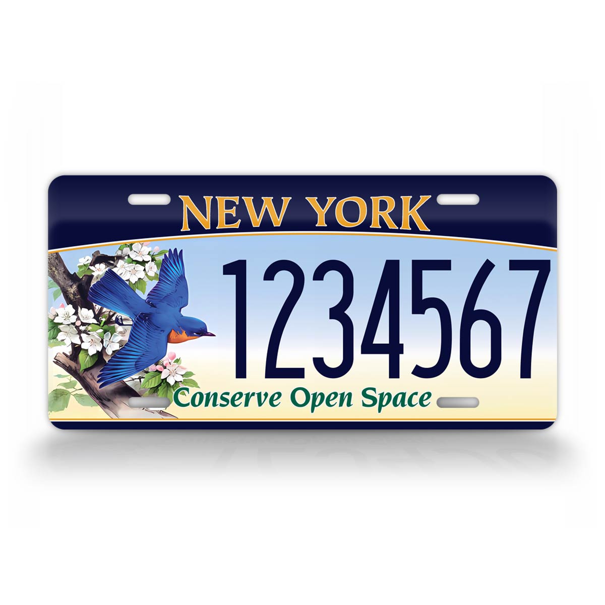 Personalized New York "Conserve Open Space" 1995 Custom License Plate