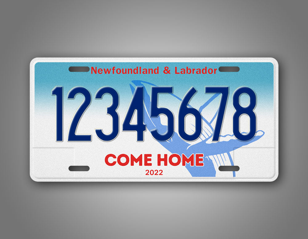 Custom Novelty New foundland And Labrador Come Home 2022 6x12 License Plate