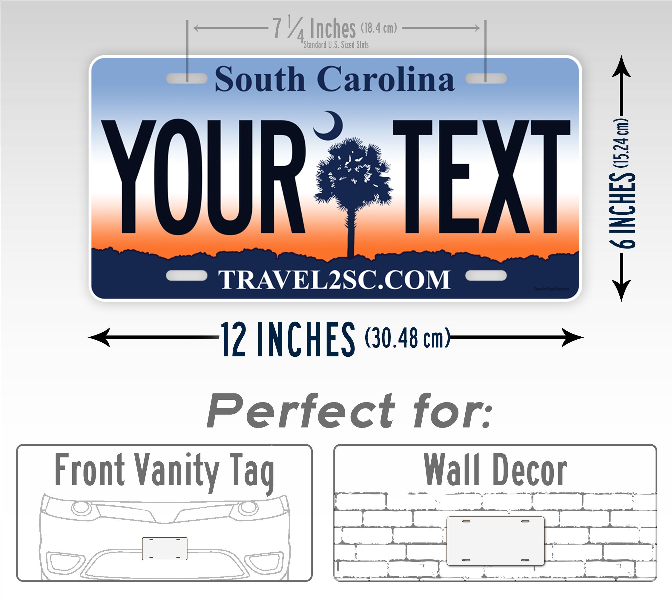Custom 2008-2016 South Carolina State License Plate