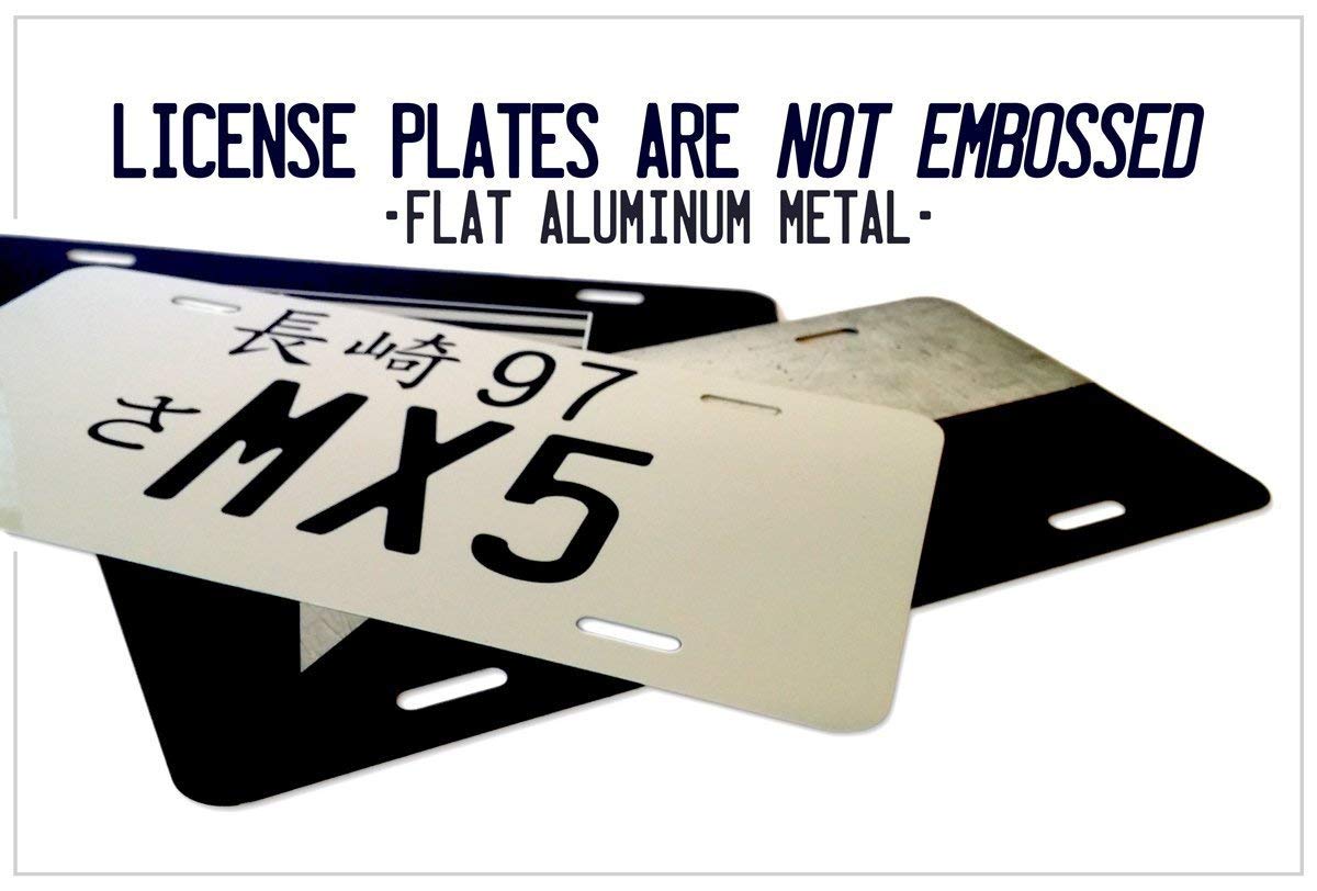 Apollo 11 Moon Landing Commemorative License Plate