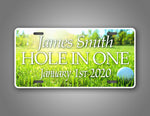 Custom Hole In One Golfing License Plate