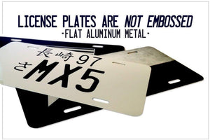 Weathered Metal Minnesota State Flag License Plate