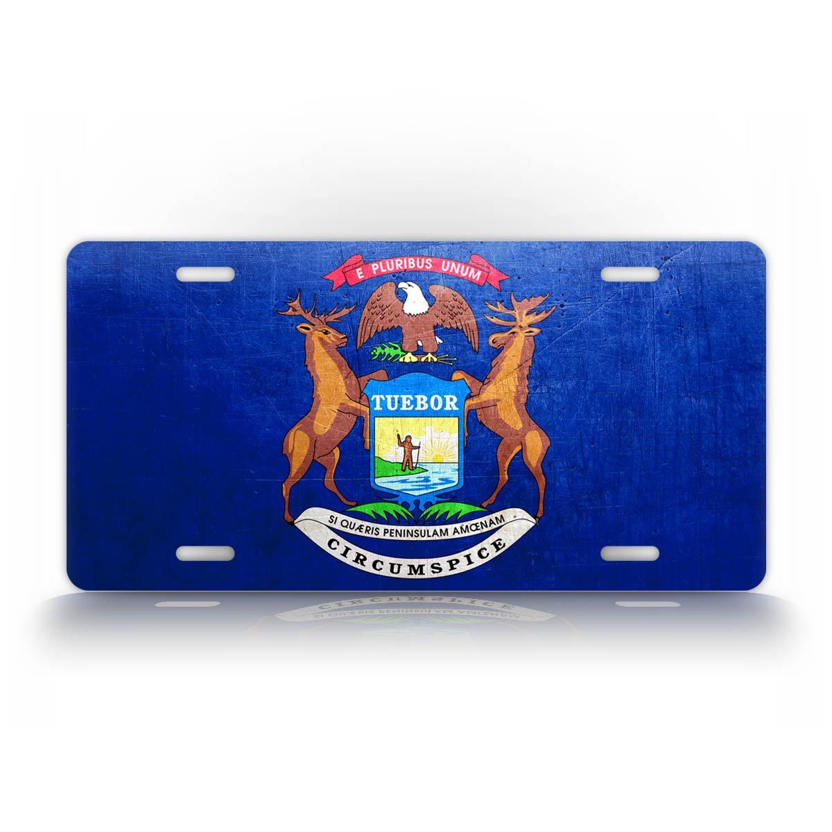 Weathered Metal Michigan State Flag License Plate