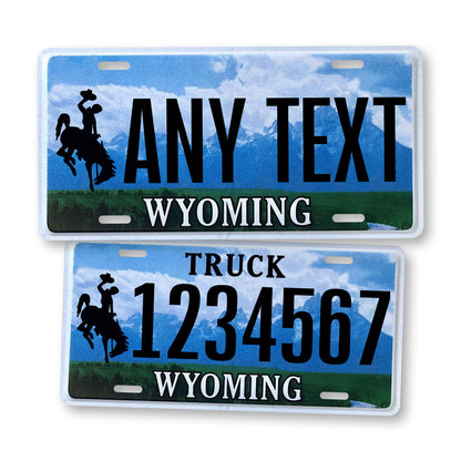 Custom 2008-2015 Wyoming State License Plate