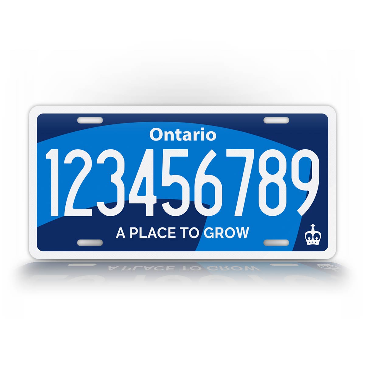Custom Text New Ontario 2020 Novelty License Plate 