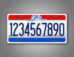 Custom 2004-2010 Ohio State Custom License Plate