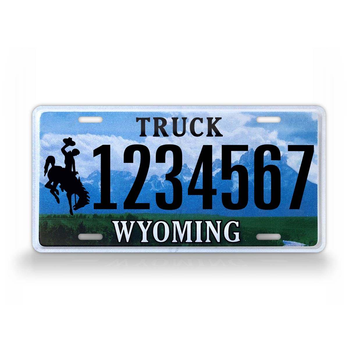 Custom 2008-2015 Wyoming State License Plate