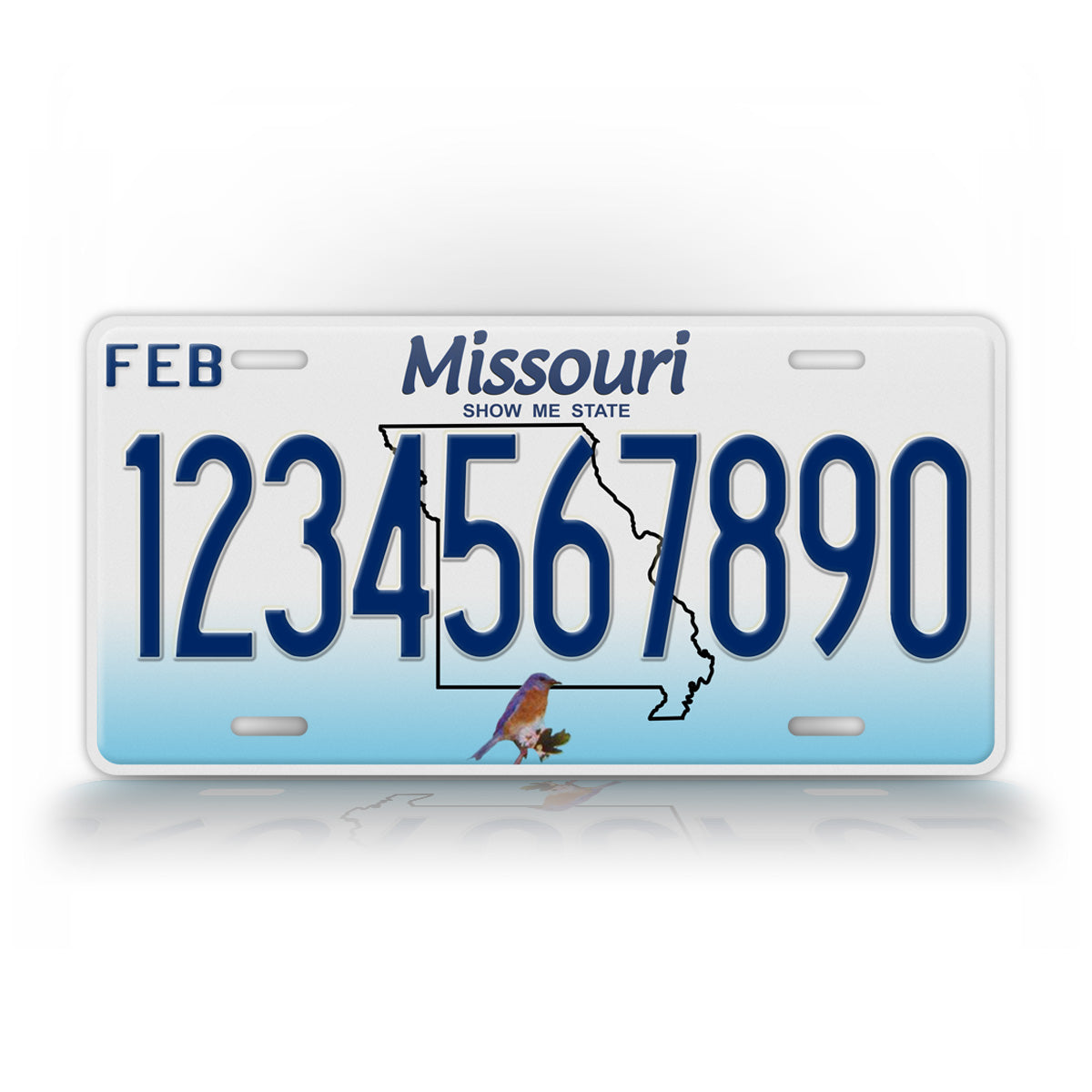 Personalized Missouri State License Plate