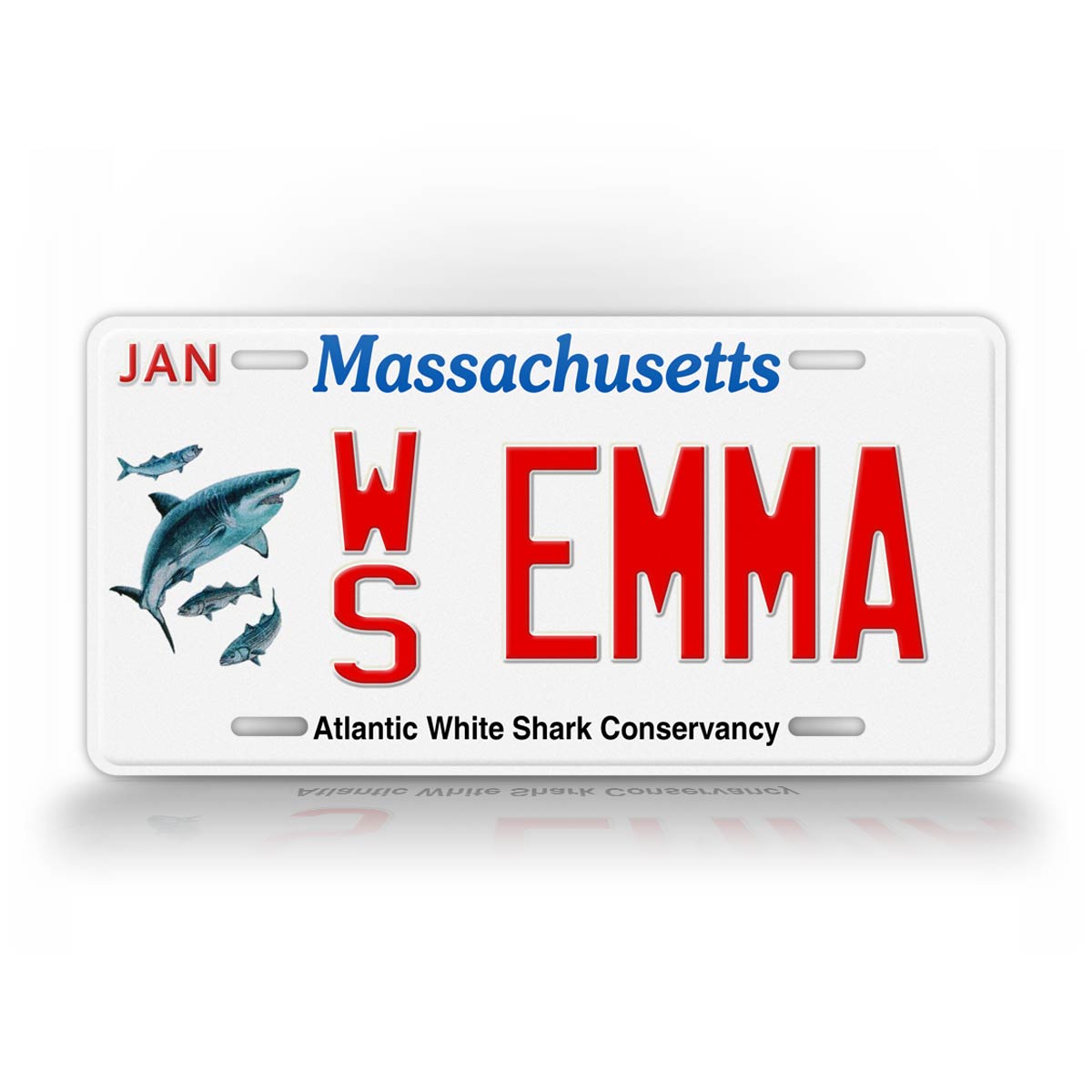 Personalized Massachusetts Atlantic White Shark Conservancy License Plate