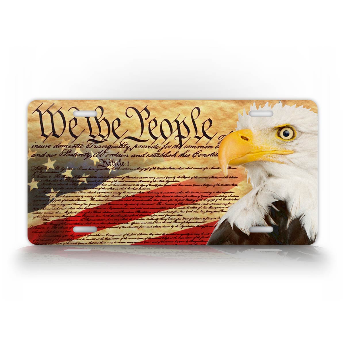 We the People Patriotic License Plate 